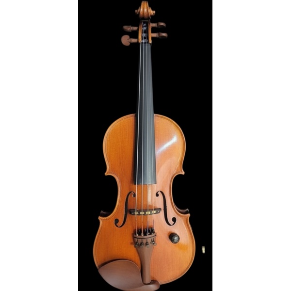 Madis acoustic electric